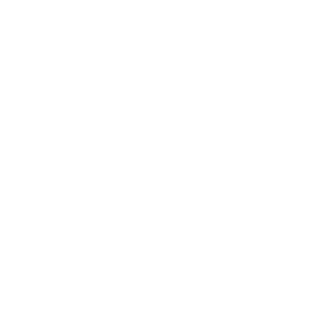 basware-customer-logo-toyota-white