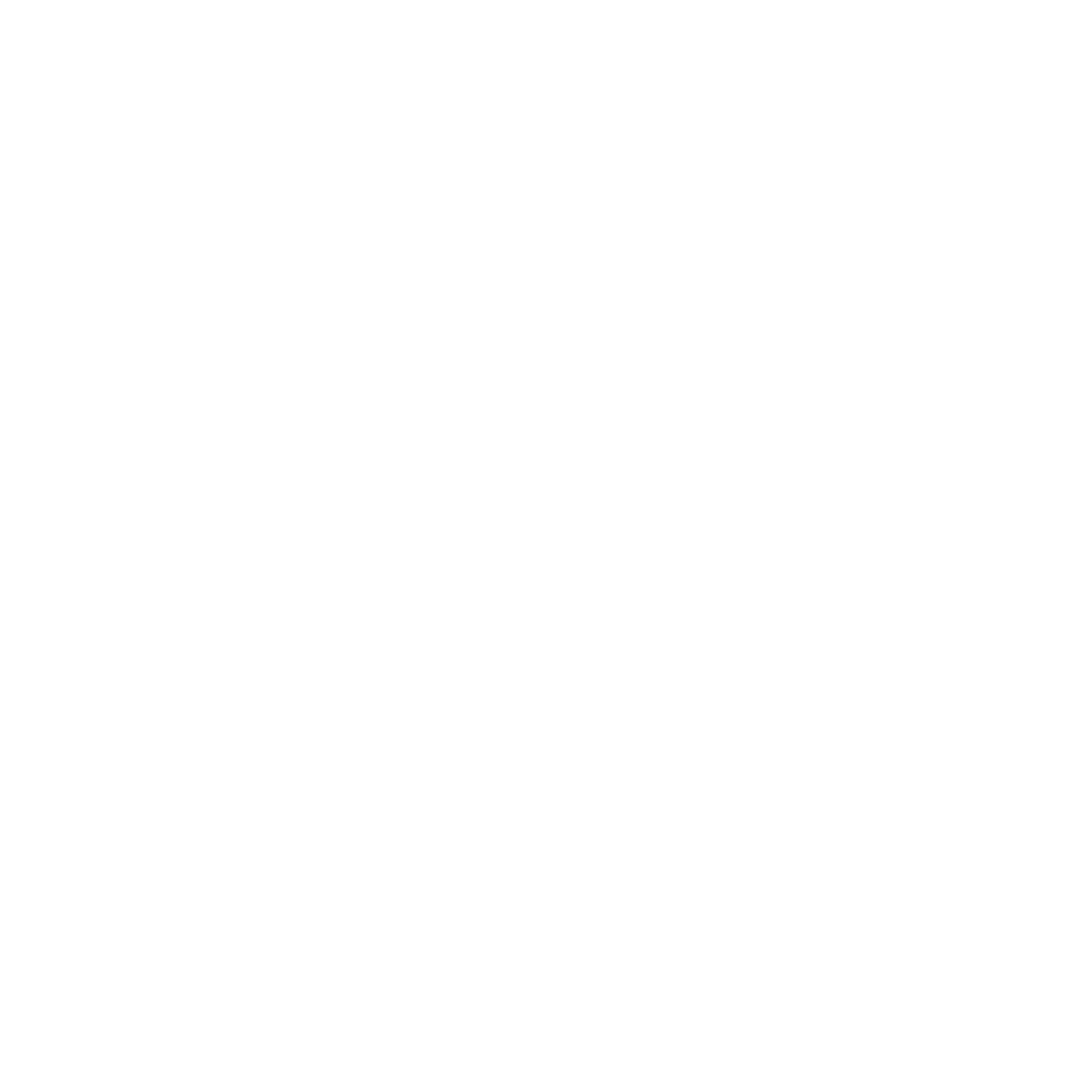carglass-logo-white